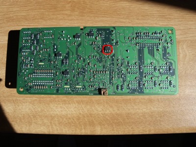 P6116055.JPG